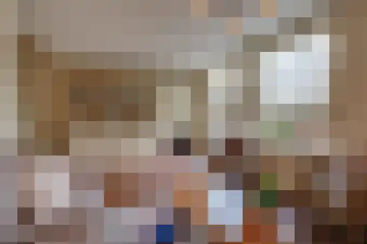 Frieseweid 6 Enkhuizen thumbnail 12