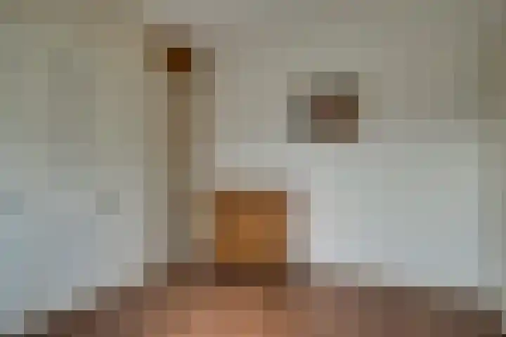 Frieseweid 6 Enkhuizen thumbnail 21