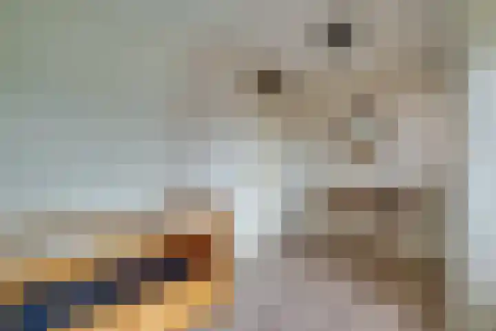 Frieseweid 6 Enkhuizen thumbnail 30
