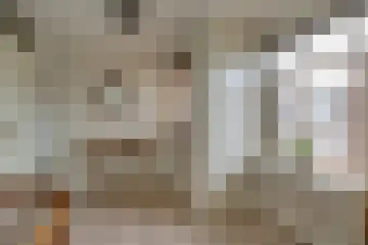 Frieseweid 6 Enkhuizen thumbnail 32