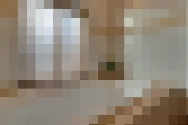 Frieseweid 6 Enkhuizen thumbnail 34