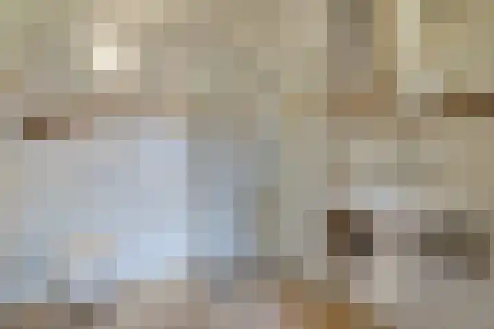 Frieseweid 6 Enkhuizen thumbnail 36