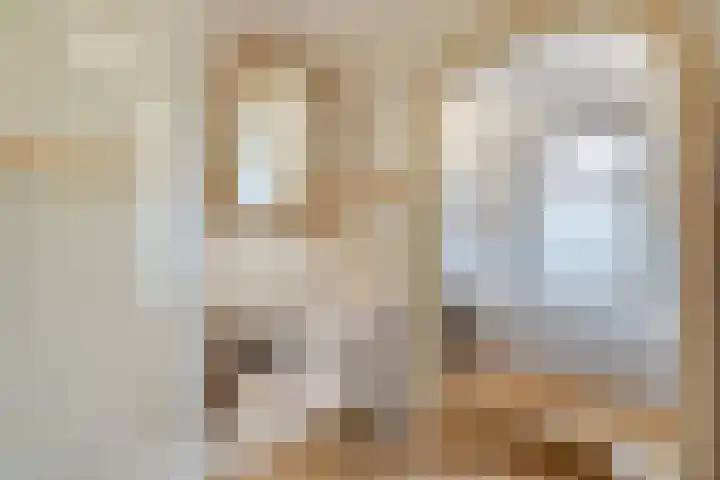 Frieseweid 6 Enkhuizen thumbnail 4
