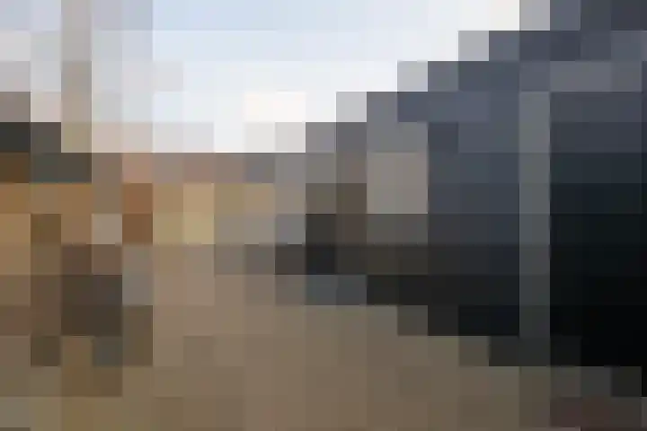 Frieseweid 6 Enkhuizen thumbnail 45