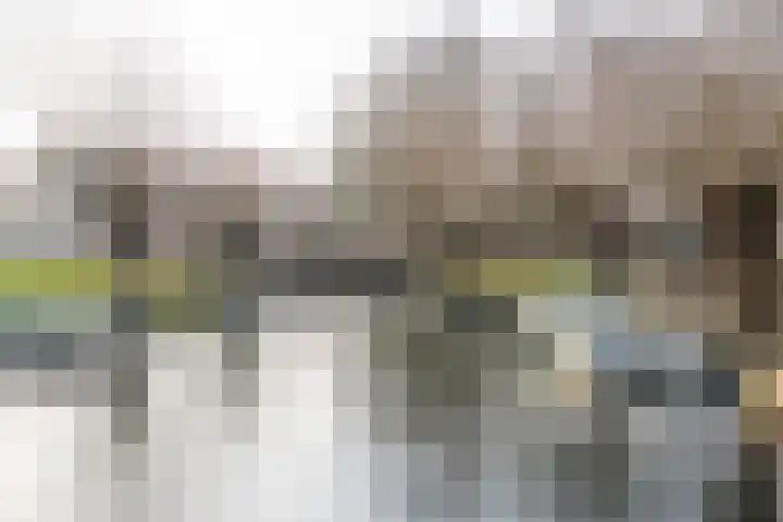 Frieseweid 6 Enkhuizen thumbnail 52