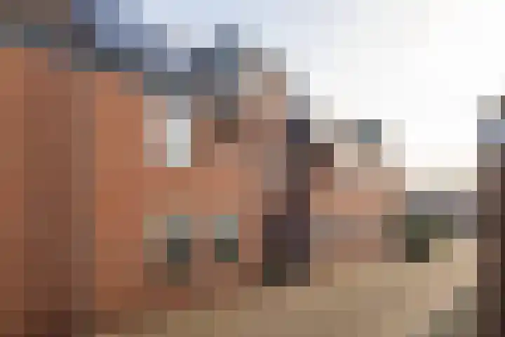 Frieseweid 6 Enkhuizen thumbnail 6