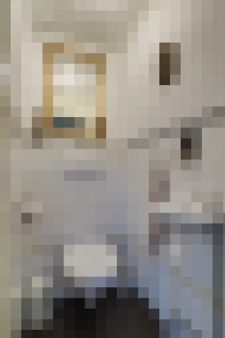 Frieseweid 6 Enkhuizen thumbnail 8