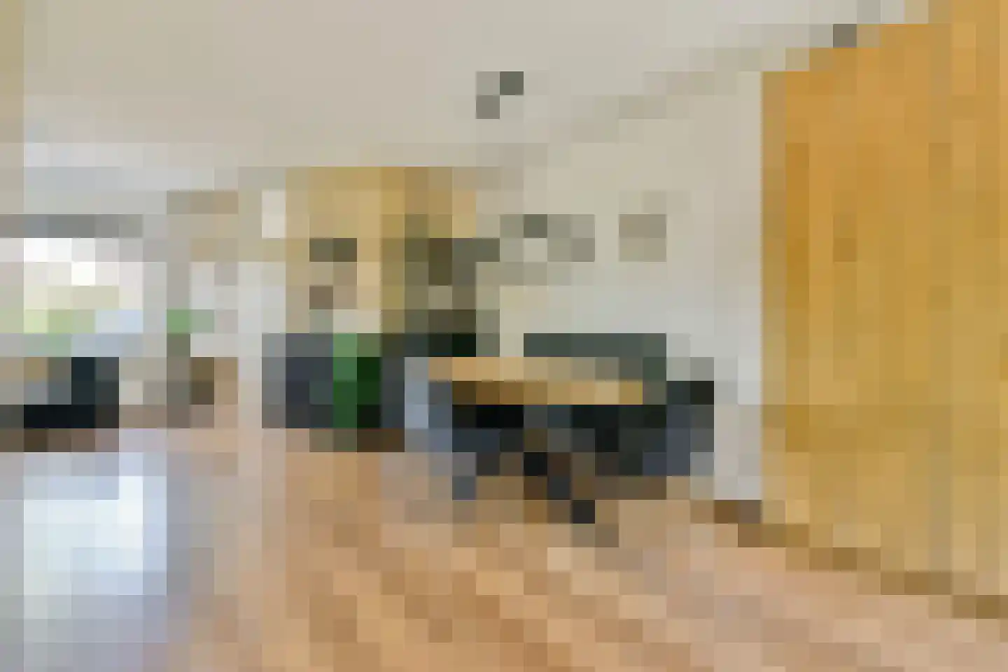 Frieslandlaan 10 Vlaardingen thumbnail 12