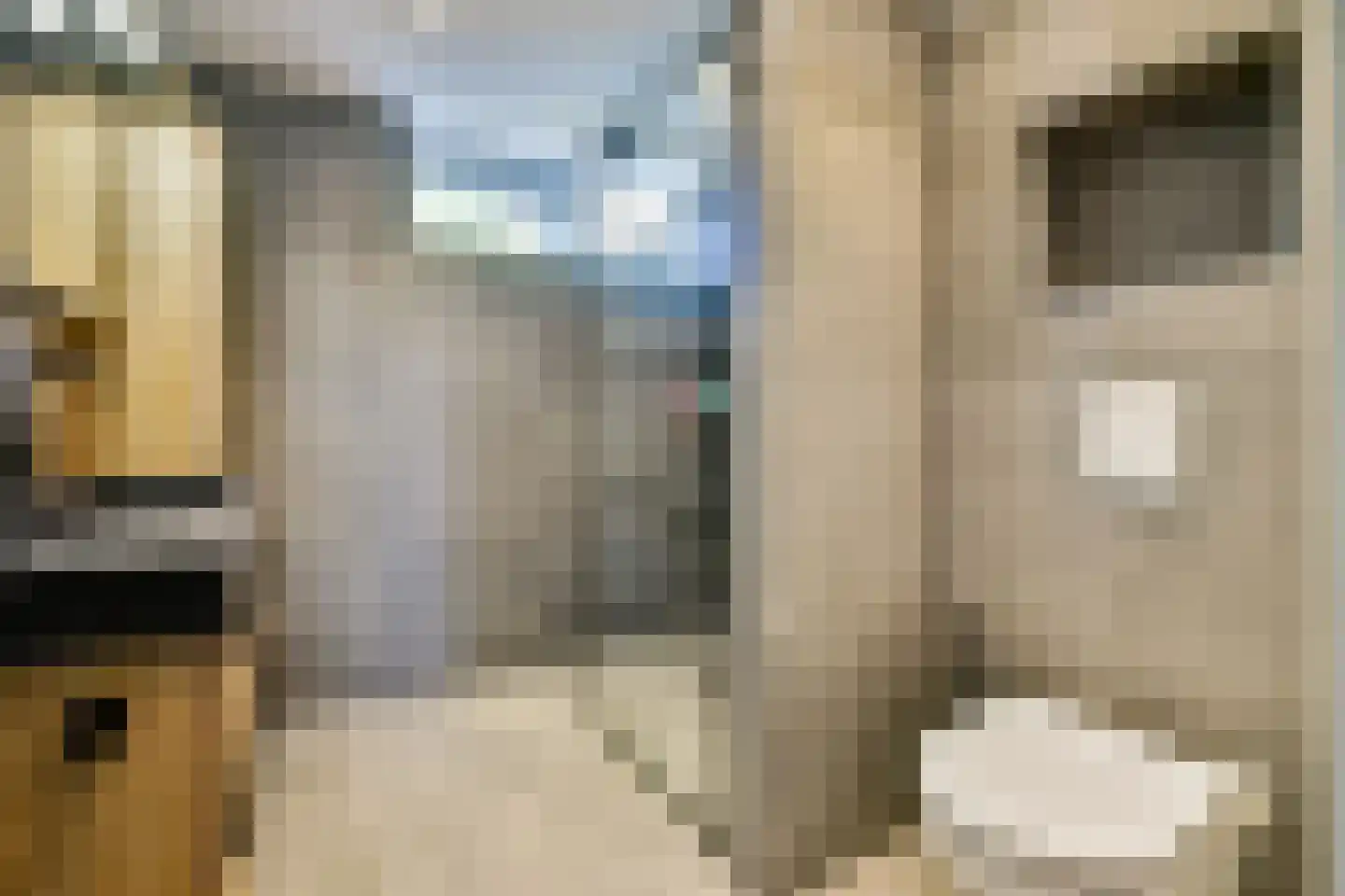 Frieslandlaan 10 Vlaardingen thumbnail 18