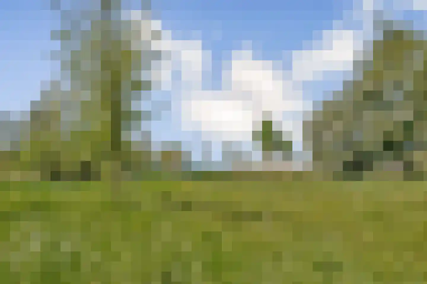 Frieslandlaan 10 Vlaardingen thumbnail 28