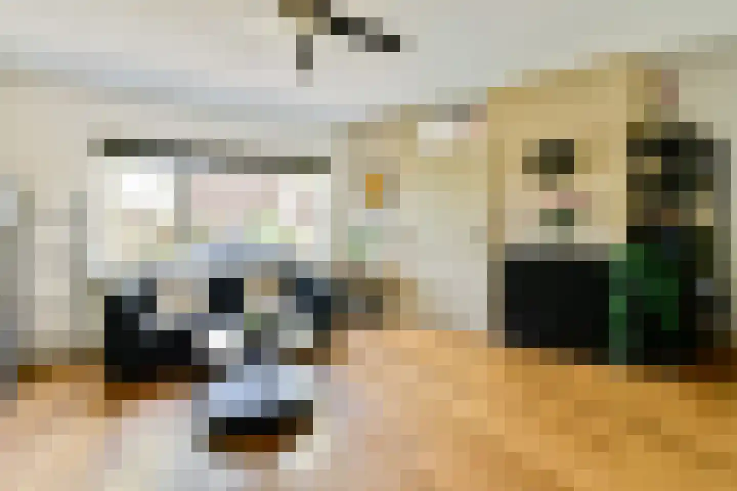 Frieslandlaan 10 Vlaardingen thumbnail 6