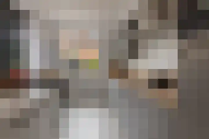 Frieslandlaan 13 Veendam thumbnail 11