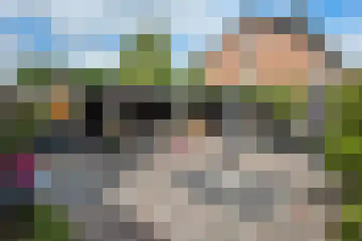 Frieslandlaan 13 Veendam thumbnail 22