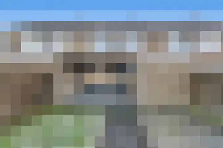 Frieslandlaan 16 Veendam thumbnail 23