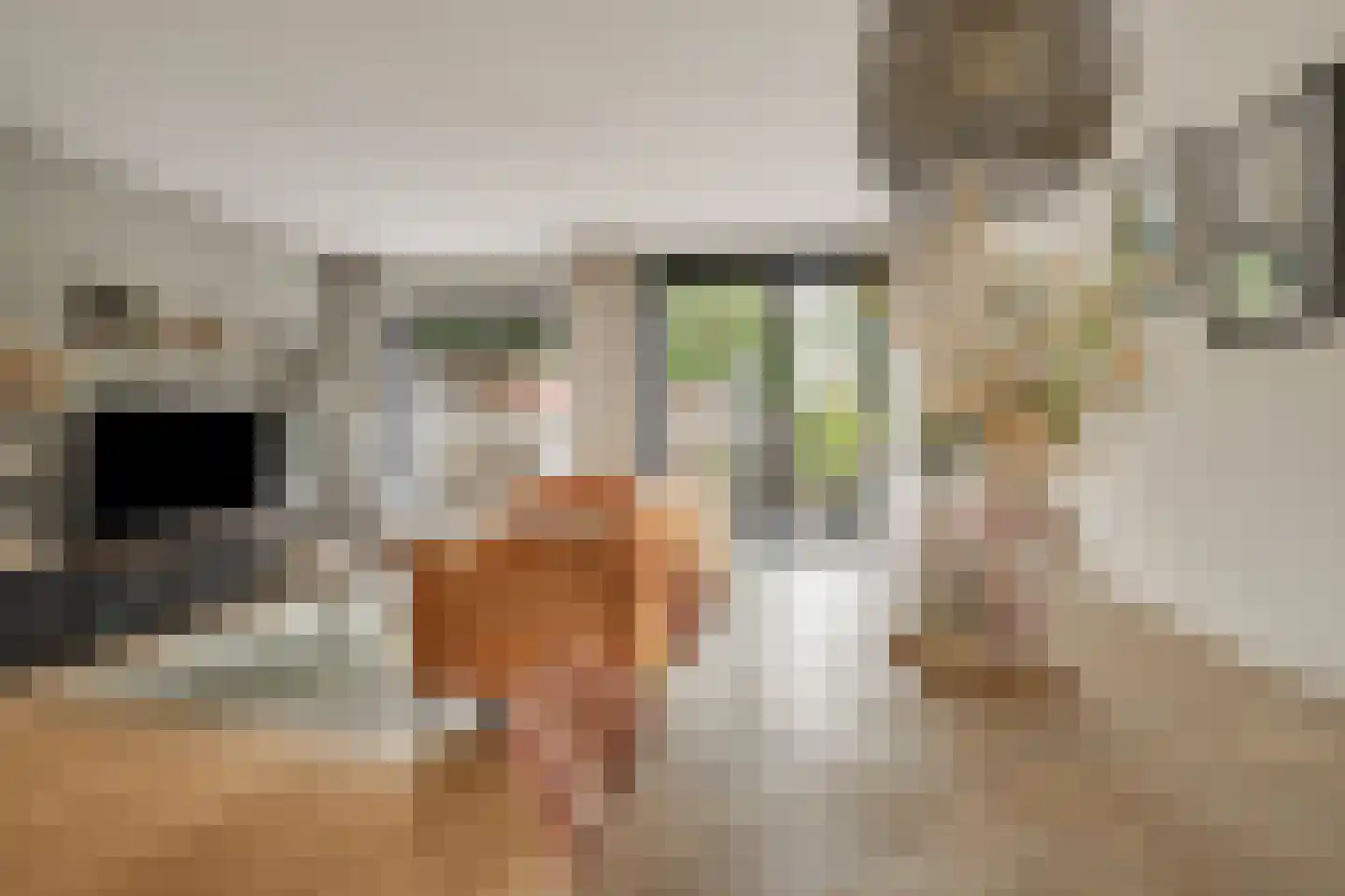 Frieslandlaan 83 Vlaardingen thumbnail 20