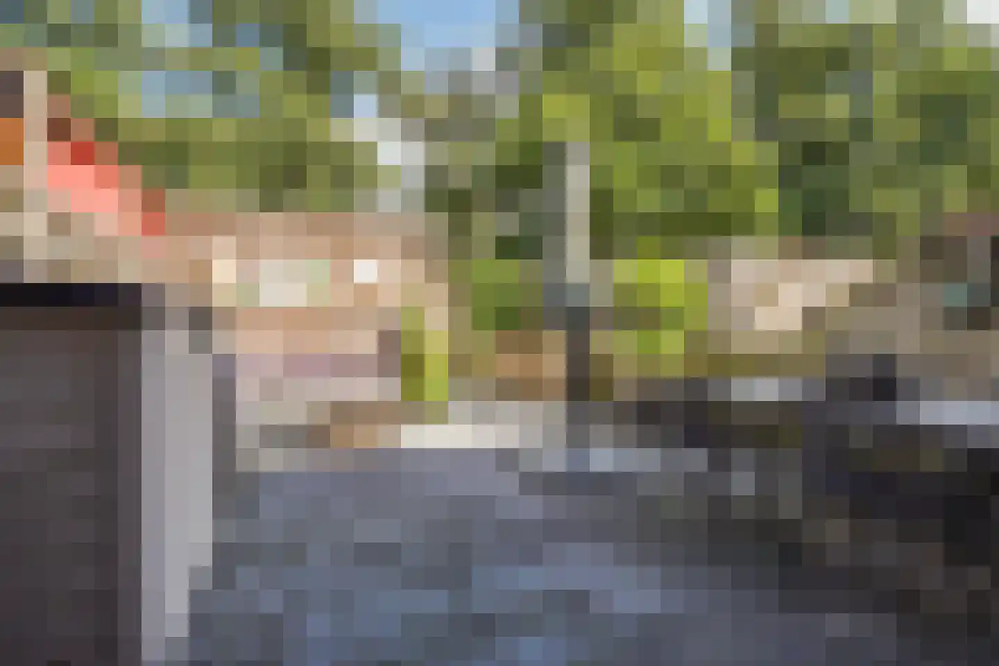 Frieslandlaan 83 Vlaardingen thumbnail 4