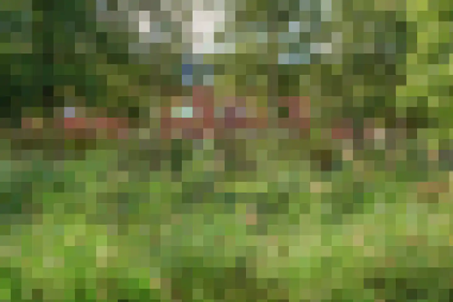 Frieslandlaan 83 Vlaardingen thumbnail 42