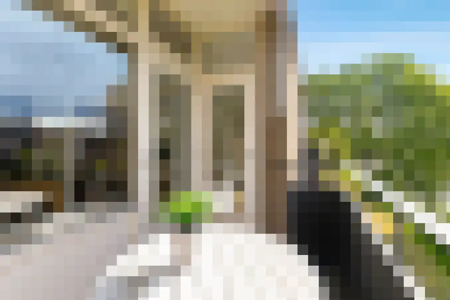 Frieslandstraat 141 Amsterdam thumbnail 14