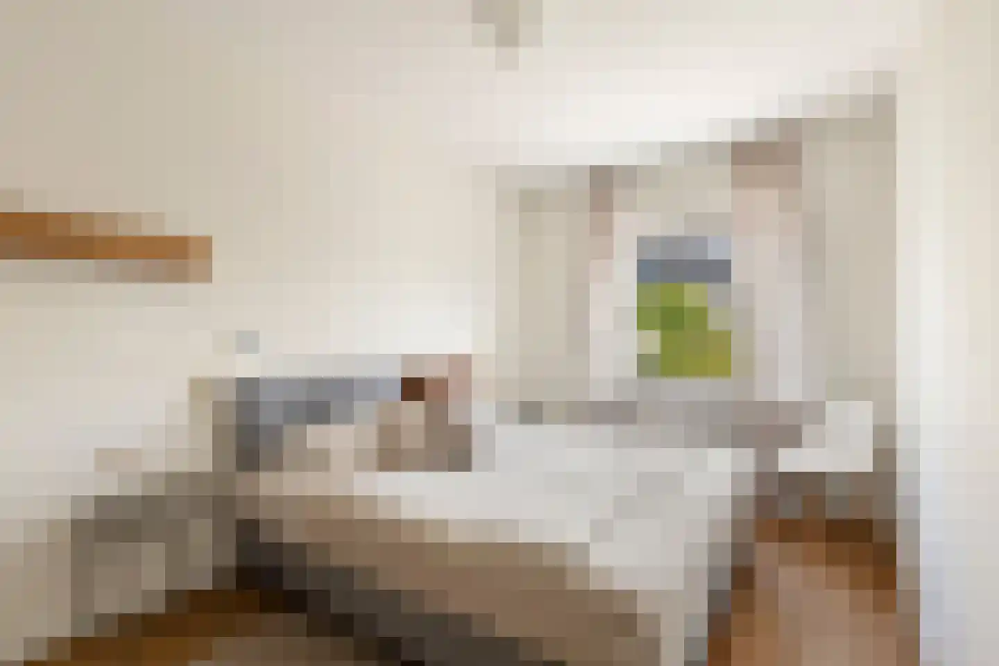 Frieslandstraat 141 Amsterdam thumbnail 21