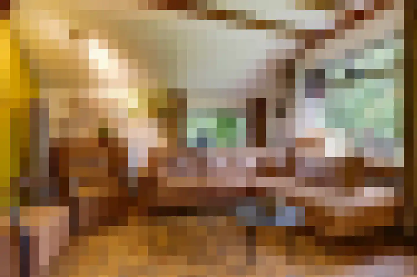 Frieslandweg 2 Didam thumbnail 11