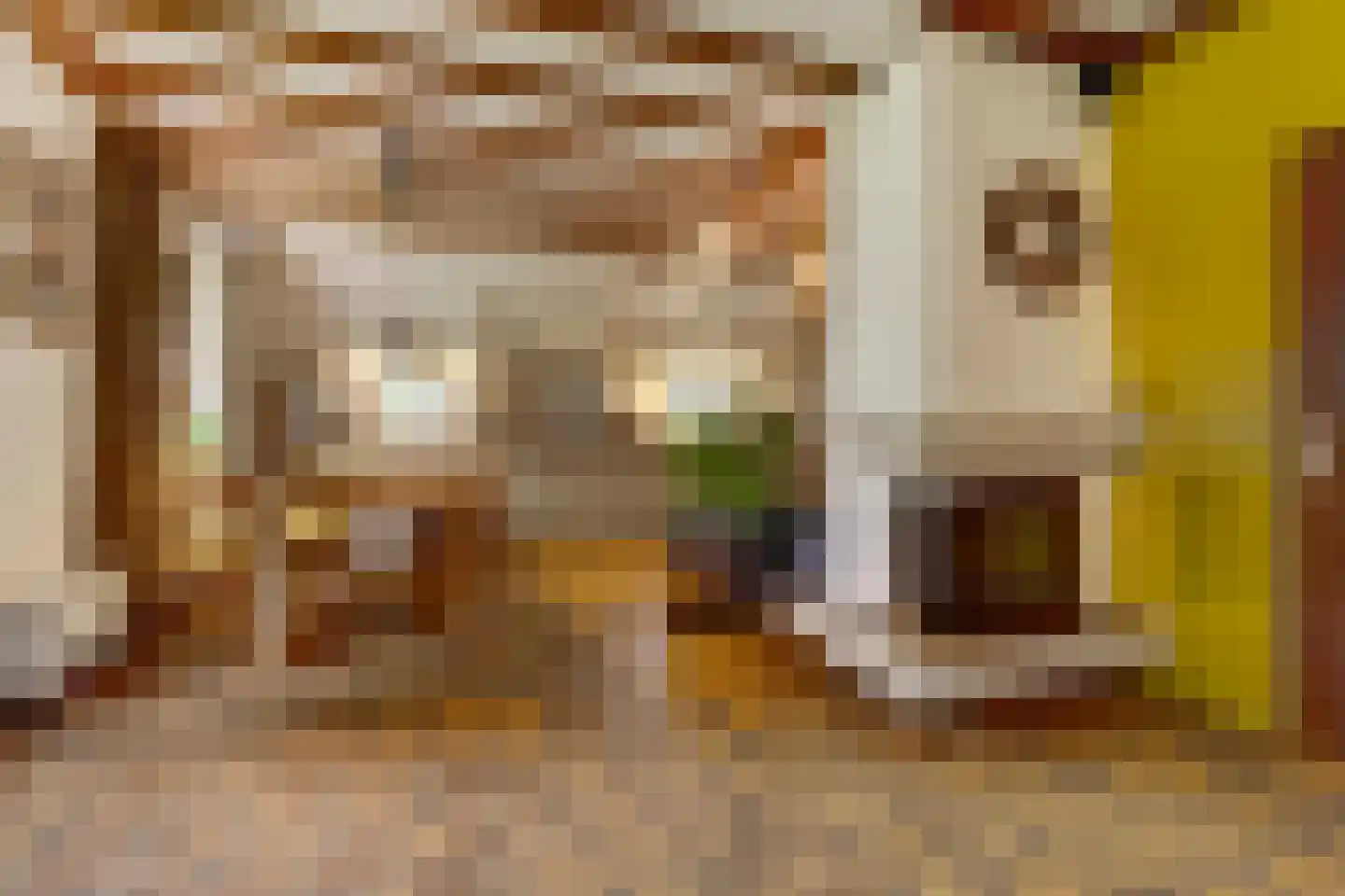 Frieslandweg 2 Didam thumbnail 12
