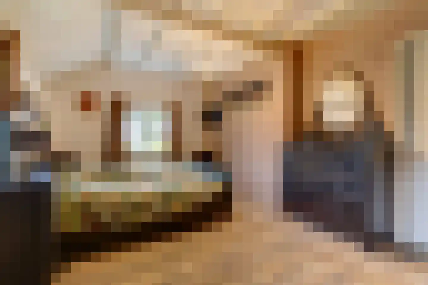 Frieslandweg 2 Didam thumbnail 14