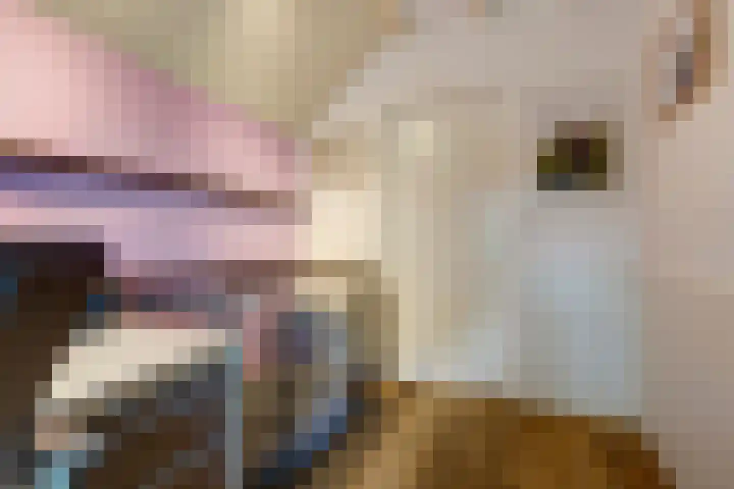 Frieslandweg 2 Didam thumbnail 16