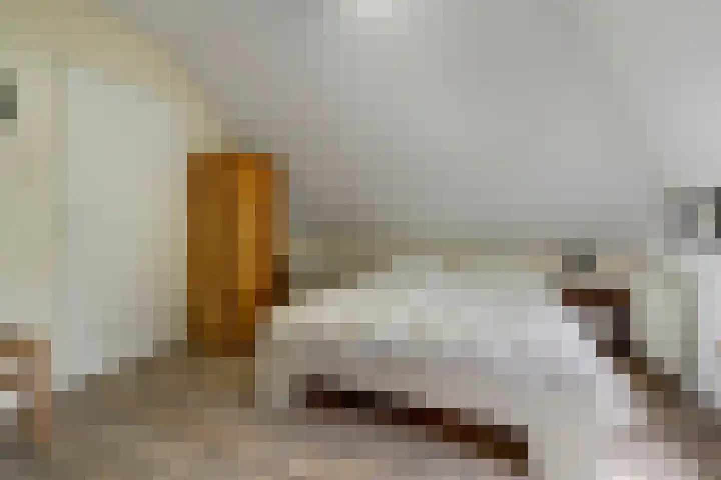 Frieslandweg 2 Didam thumbnail 20