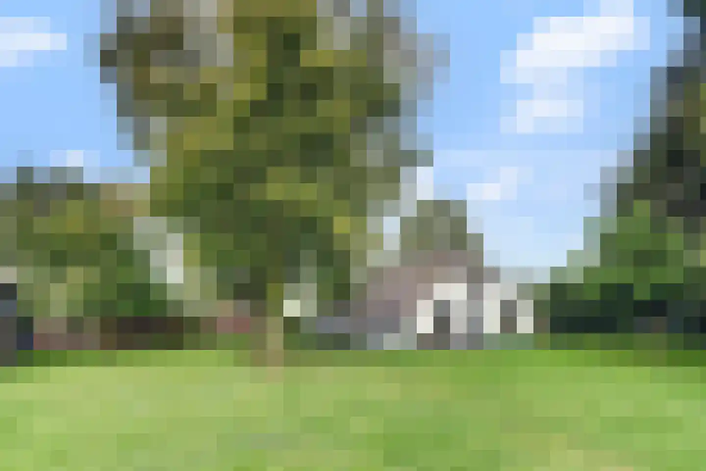 Frieslandweg 2 Didam thumbnail 37