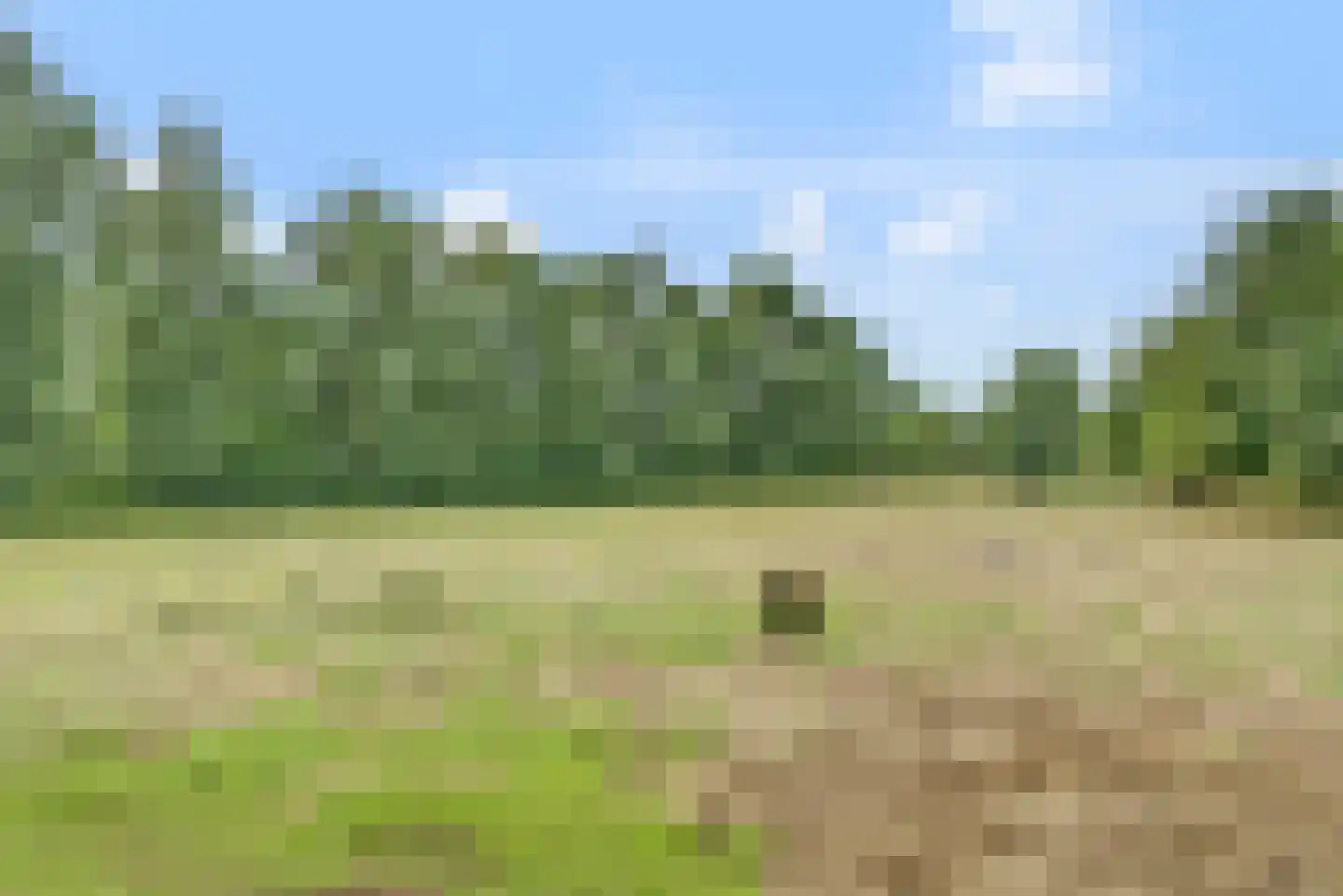 Frieslandweg 2 Didam thumbnail 38