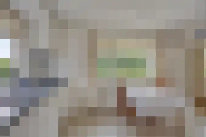 Frieswijkerweg 6 A Schalkhaar thumbnail 10