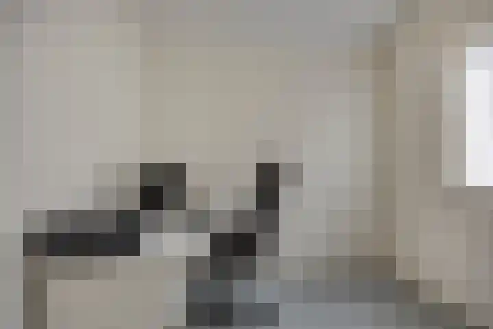 Frieswijkerweg 6 A Schalkhaar thumbnail 12