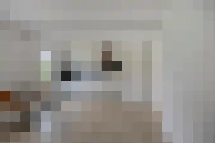 Frieswijkerweg 6 A Schalkhaar thumbnail 22