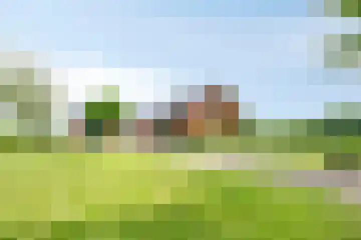 Frieswijkerweg 6 A Schalkhaar thumbnail 29