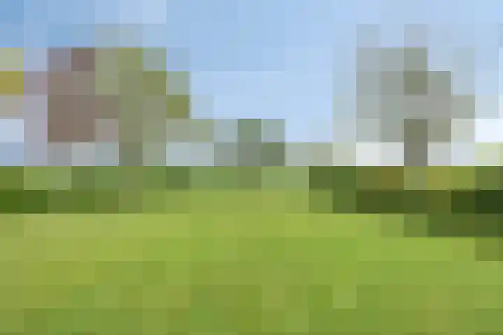 Frieswijkerweg 6 A Schalkhaar foto 3