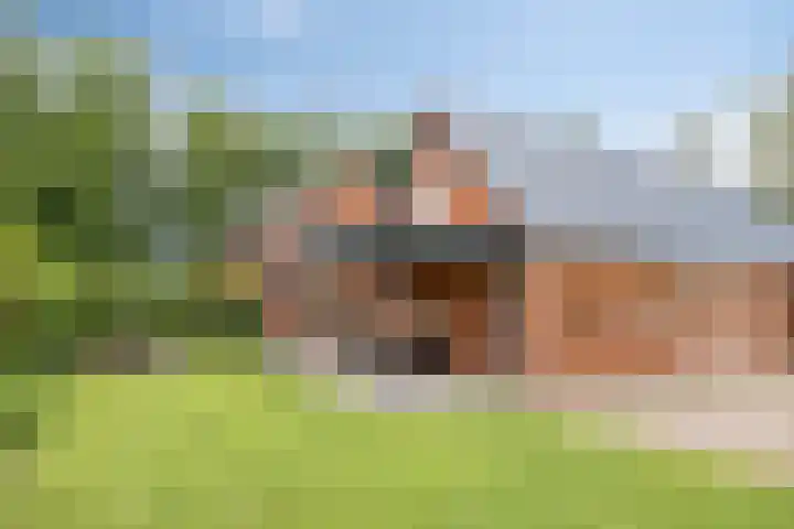 Frieswijkerweg 6 A Schalkhaar thumbnail 30