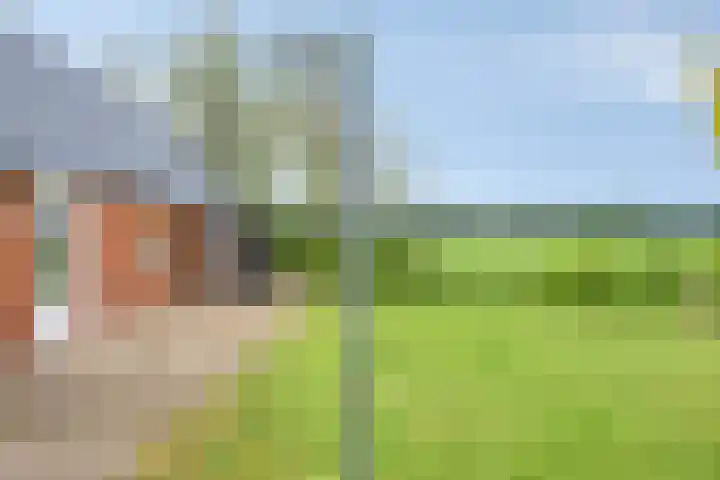Frieswijkerweg 6 A Schalkhaar thumbnail 34
