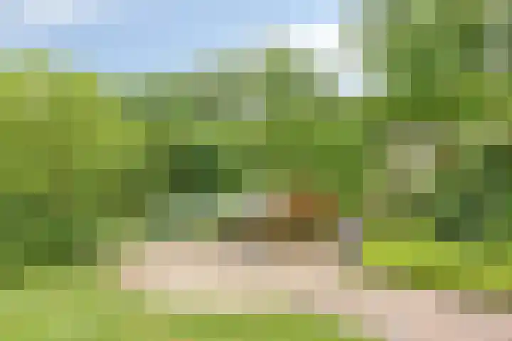 Frieswijkerweg 6 A Schalkhaar thumbnail 35