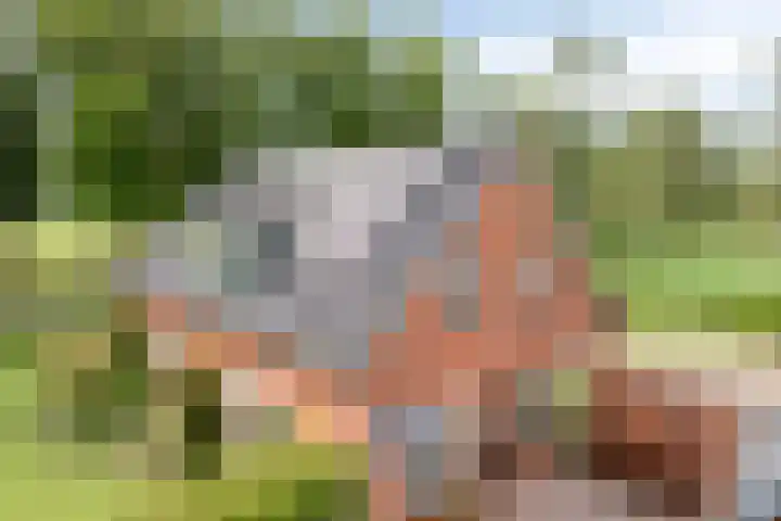 Frieswijkerweg 6 A Schalkhaar thumbnail 37