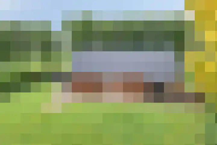 Frieswijkerweg 6 A Schalkhaar thumbnail 40