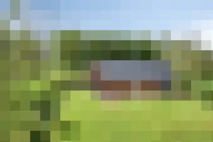 Frieswijkerweg 6 A Schalkhaar thumbnail 41