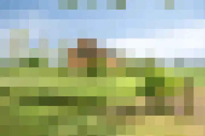 Frieswijkerweg 6 A Schalkhaar thumbnail 45