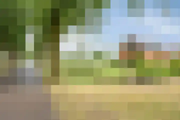 Frieswijkerweg 6 A Schalkhaar thumbnail 46