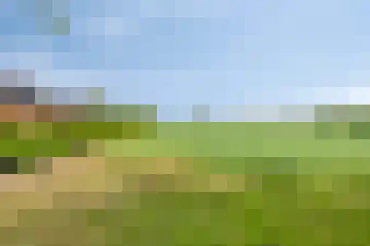 Frieswijkerweg 6 A Schalkhaar thumbnail 47