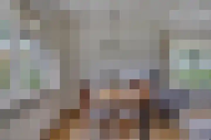 Frieswijkerweg 6 A Schalkhaar thumbnail 7