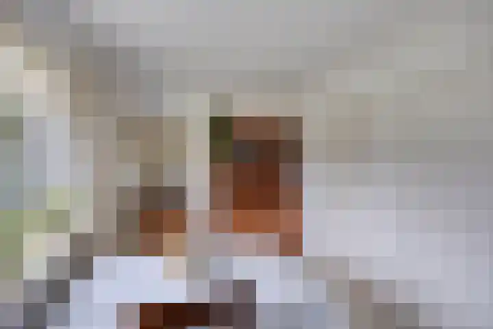 Frieswijkerweg 6 A Schalkhaar thumbnail 8
