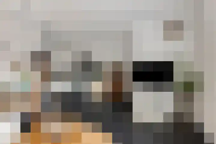 Frieswijkstraat 10 Sneek thumbnail 10