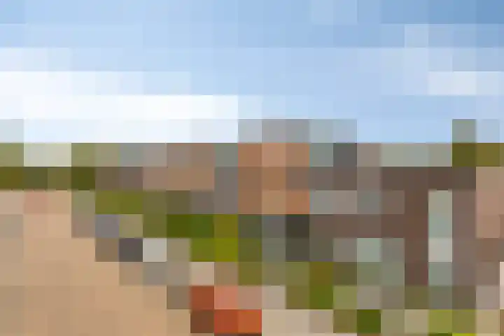 Frieswijkstraat 10 Sneek thumbnail 4