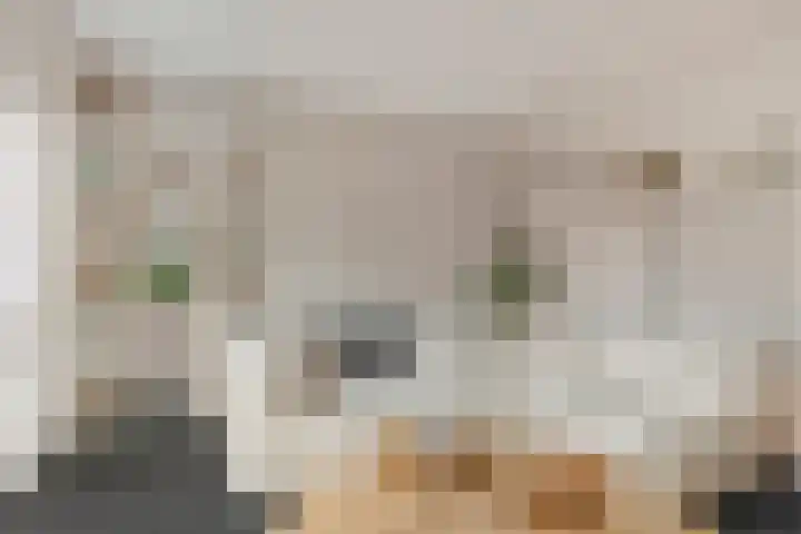 Frieswijkstraat 10 Sneek thumbnail 8