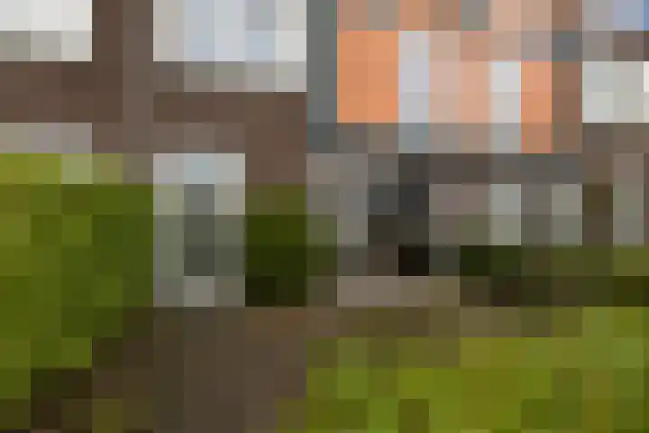 Frieswijkstraat 12 Sneek thumbnail 32